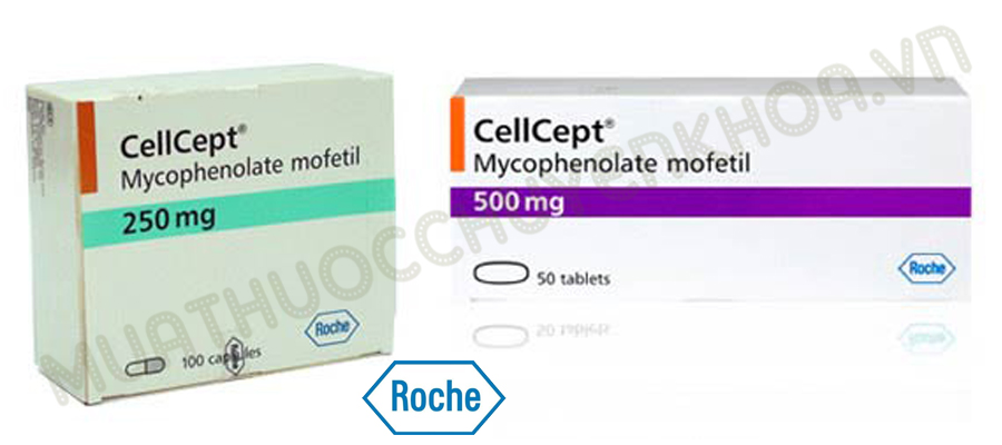 Mua thuốc CellCept 250mg 500mg HCM