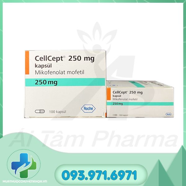 Thuoc Cellcept 250mg Roche