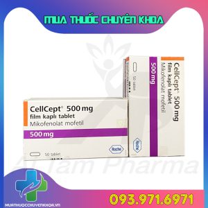 Thuoc Cellcept 500mg Roche