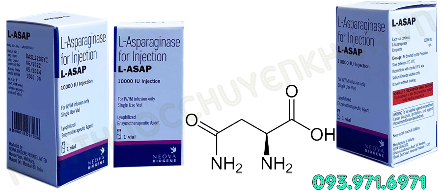 Thuốc L-ASAP (L-Asparagine 10000IU)